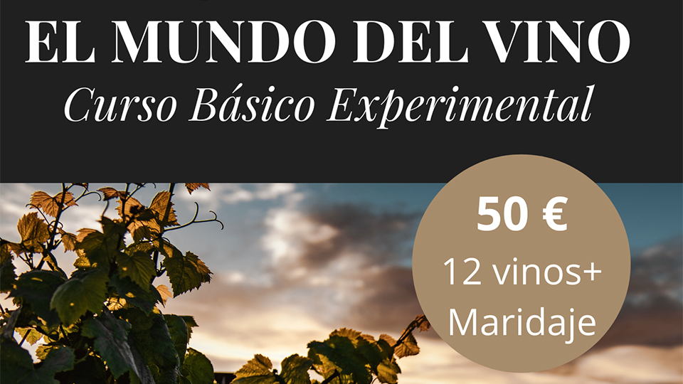 curso_básico_experimental_el_mundo_del_vino