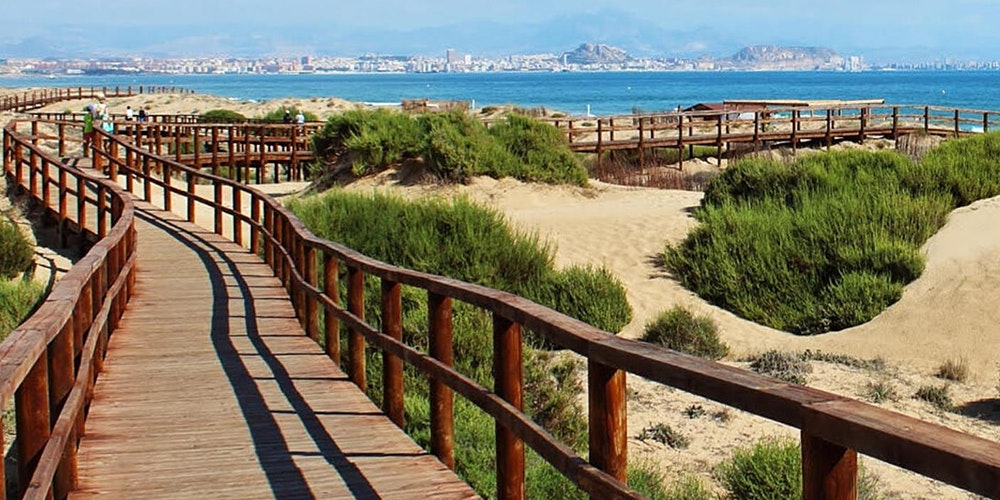 viaje_a_las_playas_de_alicante_elche_y_santa_pola