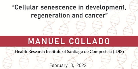cellular_senescence_in_development,_regeneration_and_cancer