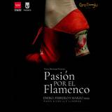 pasión_por_el_flamenco