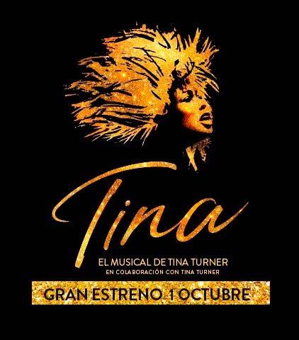 tina._el_musical_de_tina_turner