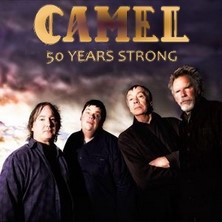 camel