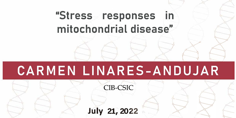 stress_responses_in_mitochondrial_disease