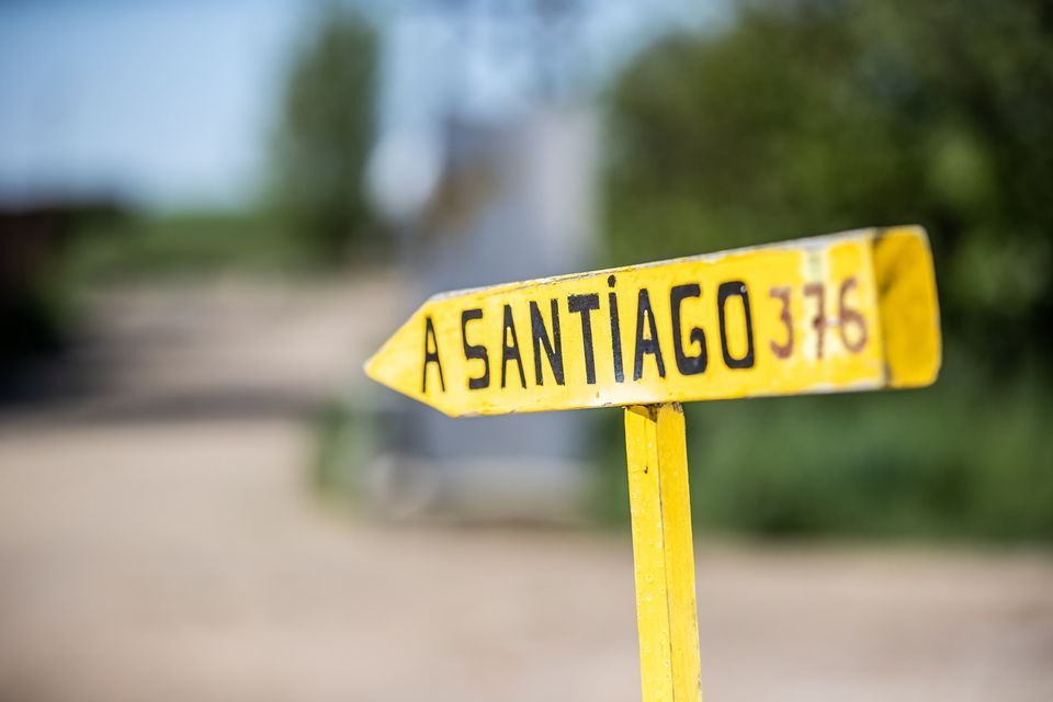 laid-back_longer_last_100km_2022-_camino_de_santiago