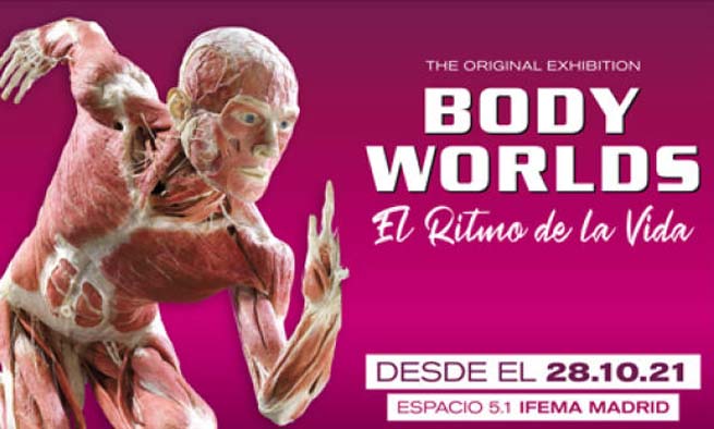 body_worlds_madrid