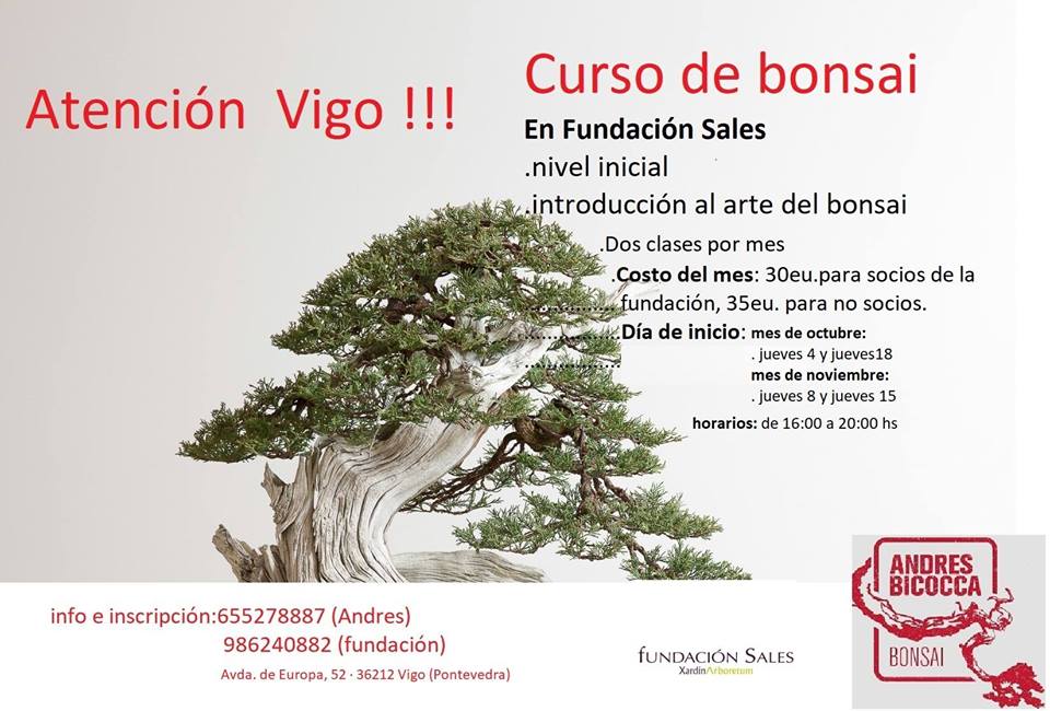 curso_bonsai