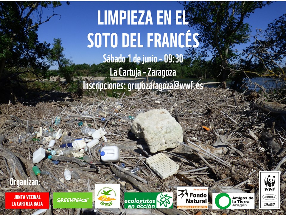 limpieza_en_el_soto_del_francés
