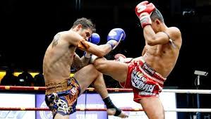 artes_marciales_(mma)